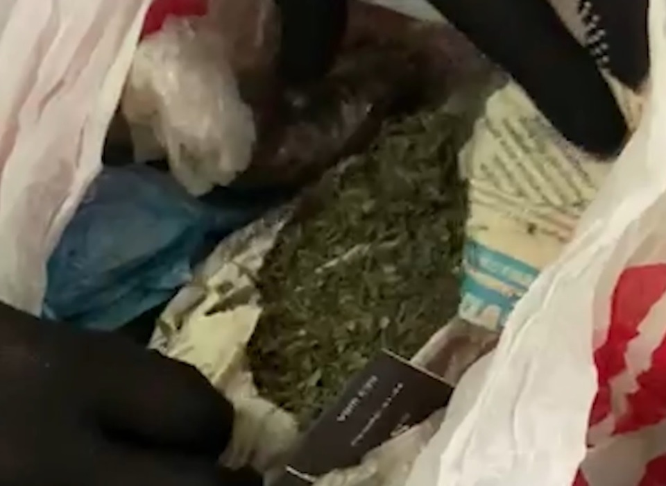Шел с пакетом марихуаны: в Волгограде задержали жителя Магнитогорска с наркотиками